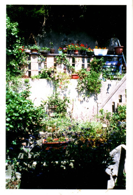 Les terrasses du n°17, siège de VIVRE LA RUE, avant butonnage